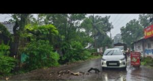 गोविंद चित्र मंदिर समोरील रस्त्यावर सुकलेल्या वृक्षाची मोठी फांदी पडली..! मोटर सायकल स्वार सुदैवाने वाचला
