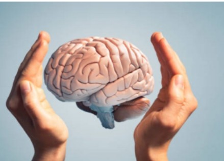 Screenshot_2025_1113_160204