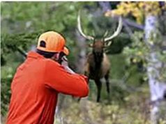 शिकार करतांना बंदुकीची गोळी लागून युवक जागीच ठार..! संशयित म्हणून कोलगाव येथील तरूण ताब्यात.