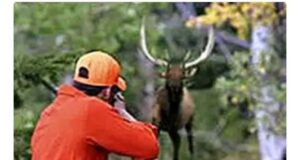 शिकार करतांना बंदुकीची गोळी लागून युवक जागीच ठार..! संशयित म्हणून कोलगाव येथील तरूण ताब्यात.