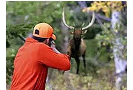 Screenshot_2025_1205_215951