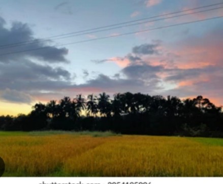 Screenshot_2026_0125_202738